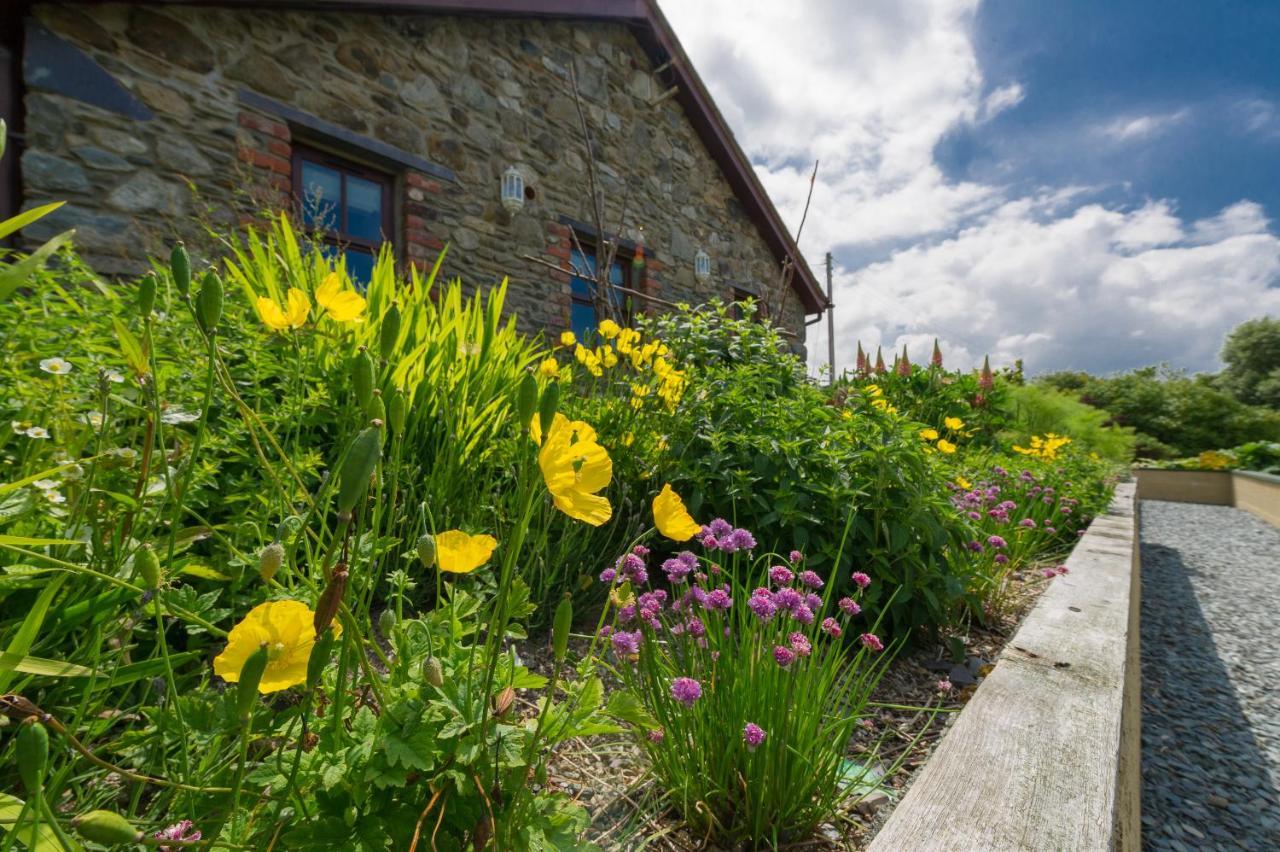 Tyn Rhos Country House Карнарвон Екстер'єр фото